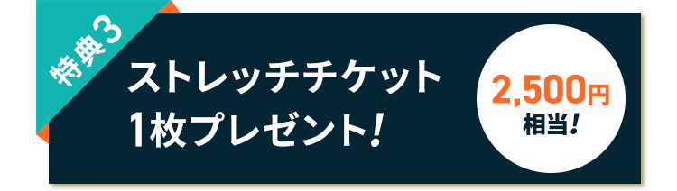 特典3 ストレッチチケット1枚プレゼント! 2,500円相当!